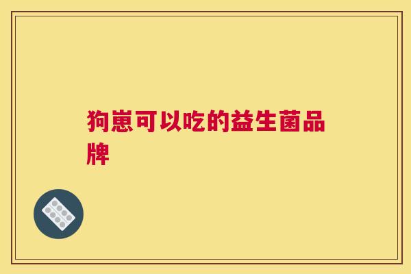 狗崽可以吃的益生菌品牌