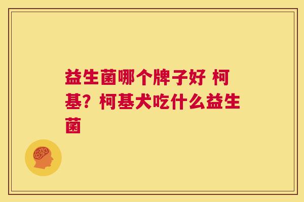 益生菌哪个牌子好 柯基？柯基犬吃什么益生菌