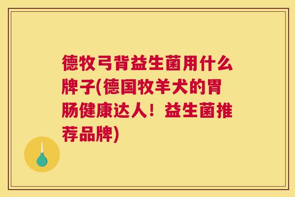 德牧弓背益生菌用什么牌子(德国牧羊犬的胃肠健康达人！益生菌推荐品牌)