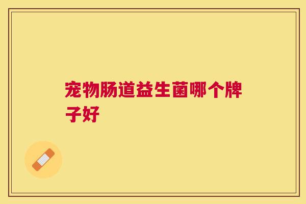宠物肠道益生菌哪个牌子好