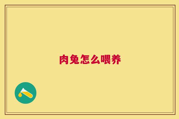 肉兔怎么喂养