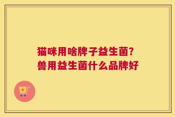 猫咪用啥牌子益生菌？兽用益生菌什么品牌好