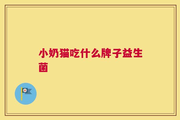 小奶猫吃什么牌子益生菌