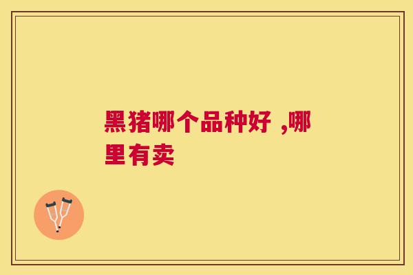 黑猪哪个品种好 ,哪里有卖