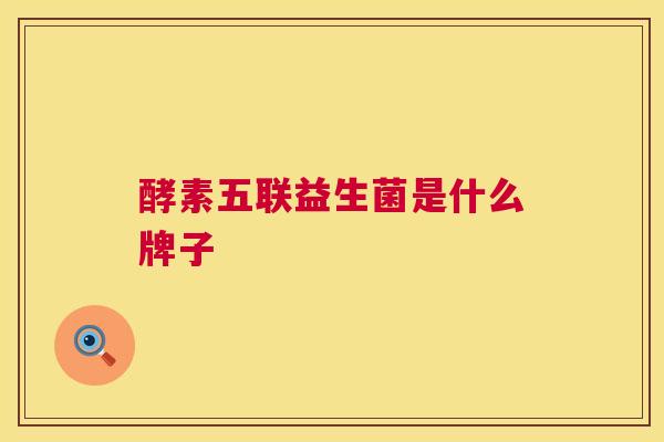酵素五联益生菌是什么牌子