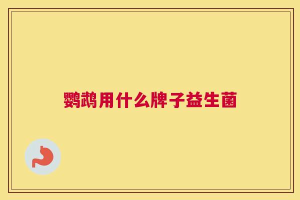 鹦鹉用什么牌子益生菌