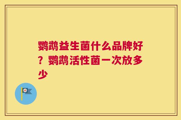 鹦鹉益生菌什么品牌好？鹦鹉活性菌一次放多少