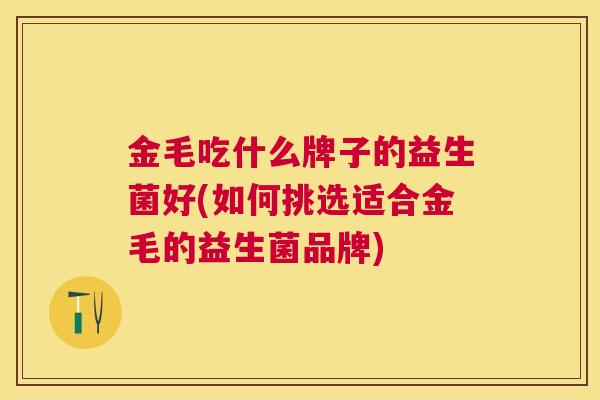 金毛吃什么牌子的益生菌好(如何挑选适合金毛的益生菌品牌)
