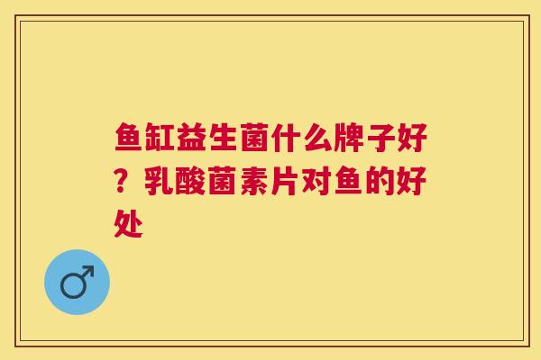 鱼缸益生菌什么牌子好？乳酸菌素片对鱼的好处
