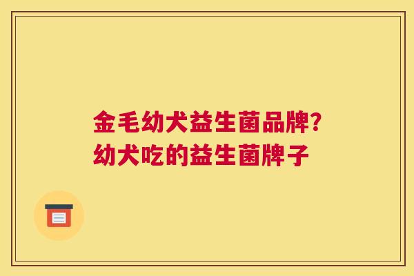 金毛幼犬益生菌品牌？幼犬吃的益生菌牌子