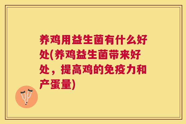 养鸡用益生菌有什么好处(养鸡益生菌带来好处，提高鸡的免疫力和产蛋量)