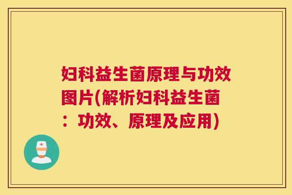 妇科益生菌原理与功效图片(解析妇科益生菌：功效、原理及应用)