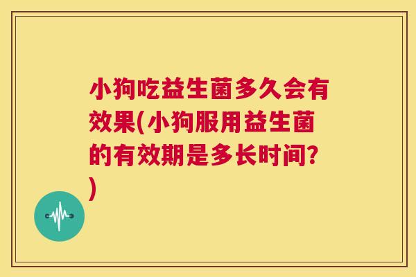 小狗吃益生菌多久会有效果(小狗服用益生菌的有效期是多长时间？)