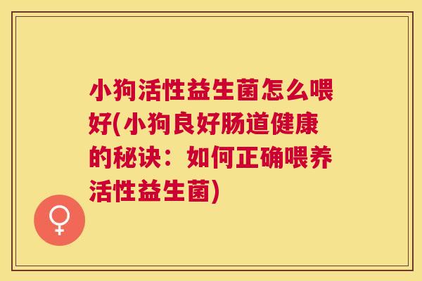 小狗活性益生菌怎么喂好(小狗良好肠道健康的秘诀：如何正确喂养活性益生菌)