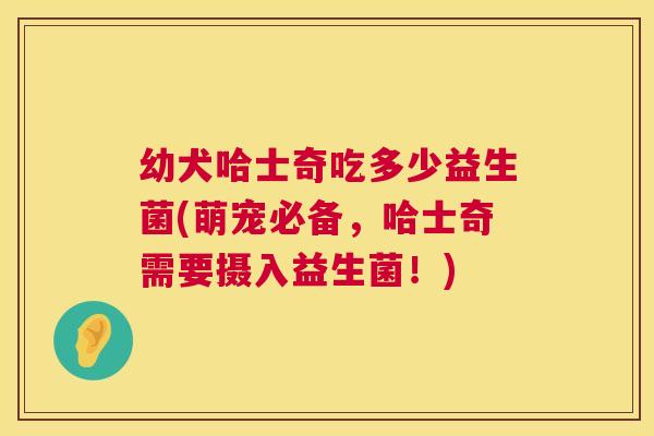 幼犬哈士奇吃多少益生菌(萌宠必备，哈士奇需要摄入益生菌！)