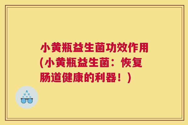 小黄瓶益生菌功效作用(小黄瓶益生菌：恢复肠道健康的利器！)