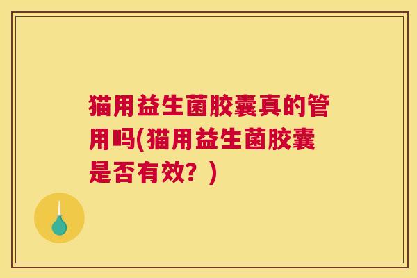 猫用益生菌胶囊真的管用吗(猫用益生菌胶囊是否有效？)