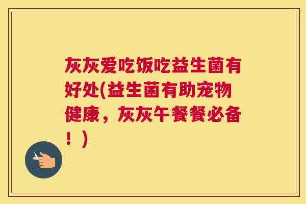 灰灰爱吃饭吃益生菌有好处(益生菌有助宠物健康，灰灰午餐餐必备！)