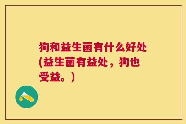 狗和益生菌有什么好处(益生菌有益处，狗也受益。)