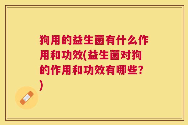 狗用的益生菌有什么作用和功效(益生菌对狗的作用和功效有哪些？)