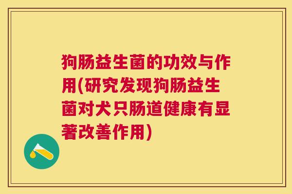 狗肠益生菌的功效与作用(研究发现狗肠益生菌对犬只肠道健康有显著改善作用)