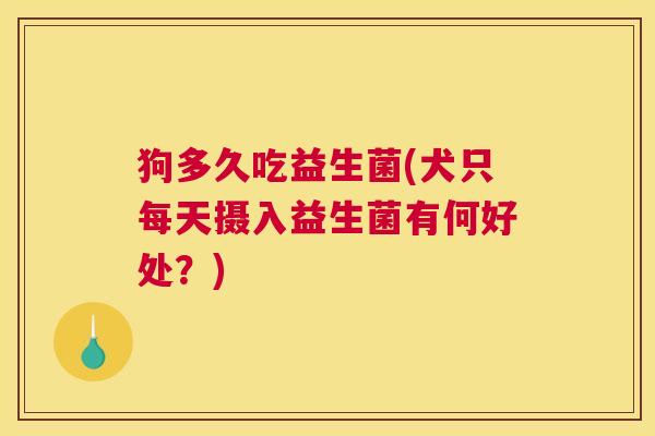 狗多久吃益生菌(犬只每天摄入益生菌有何好处？)