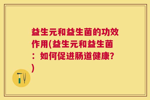 益生元和益生菌的功效作用(益生元和益生菌：如何促进肠道健康？)