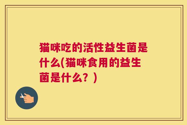 猫咪吃的活性益生菌是什么(猫咪食用的益生菌是什么？)
