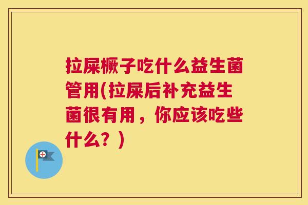 拉屎橛子吃什么益生菌管用(拉屎后补充益生菌很有用，你应该吃些什么？)