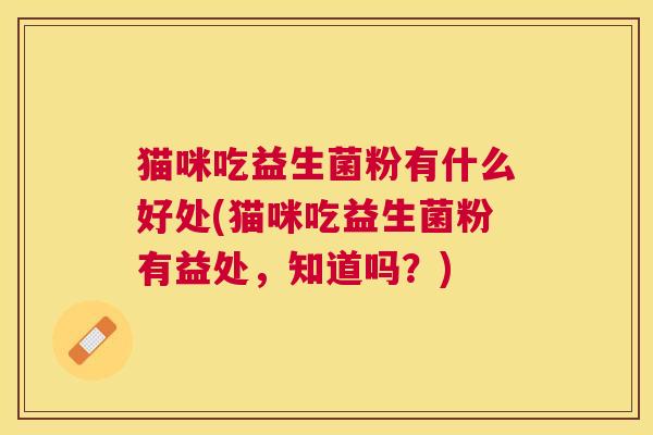 猫咪吃益生菌粉有什么好处(猫咪吃益生菌粉有益处，知道吗？)