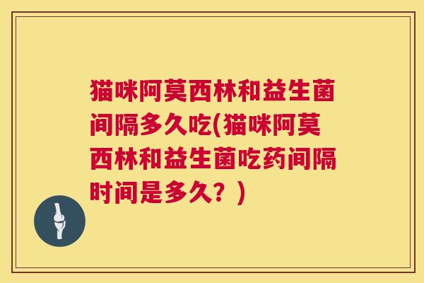 猫咪阿莫西林和益生菌间隔多久吃(猫咪阿莫西林和益生菌吃药间隔时间是多久？)