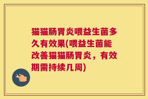 猫猫肠胃炎喂益生菌多久有效果(喂益生菌能改善猫猫肠胃炎，有效期需持续几周)