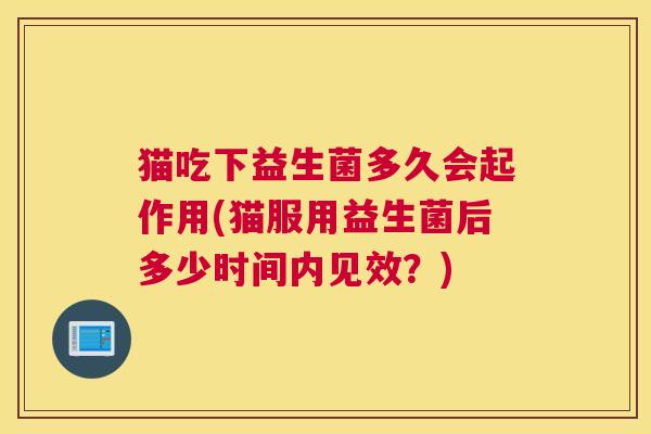 猫吃下益生菌多久会起作用(猫服用益生菌后多少时间内见效？)