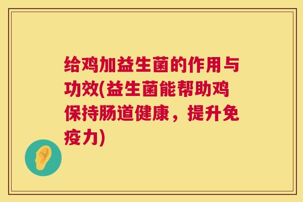 给鸡加益生菌的作用与功效(益生菌能帮助鸡保持肠道健康，提升免疫力)