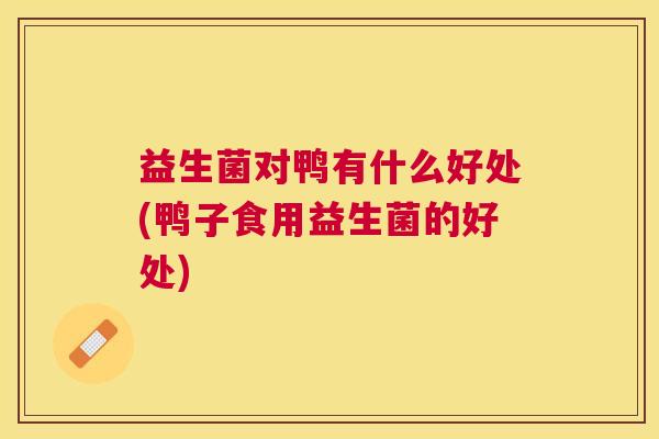 益生菌对鸭有什么好处(鸭子食用益生菌的好处)