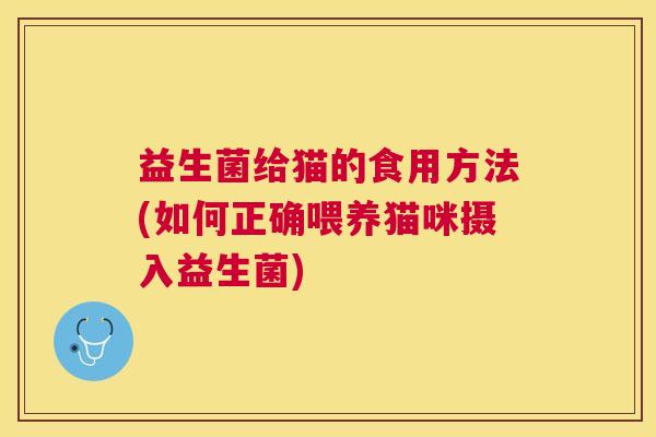 益生菌给猫的食用方法(如何正确喂养猫咪摄入益生菌)