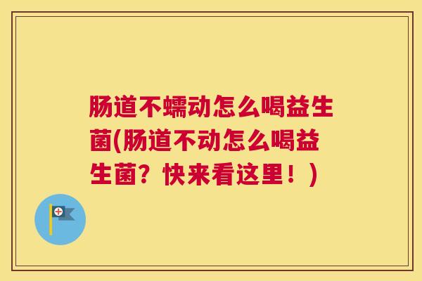 肠道不蠕动怎么喝益生菌(肠道不动怎么喝益生菌？快来看这里！)