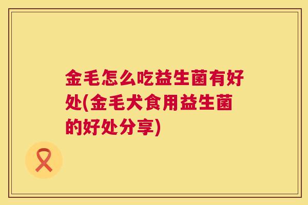 金毛怎么吃益生菌有好处(金毛犬食用益生菌的好处分享)