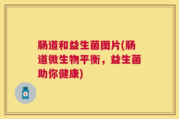 肠道和益生菌图片(肠道微生物平衡，益生菌助你健康)