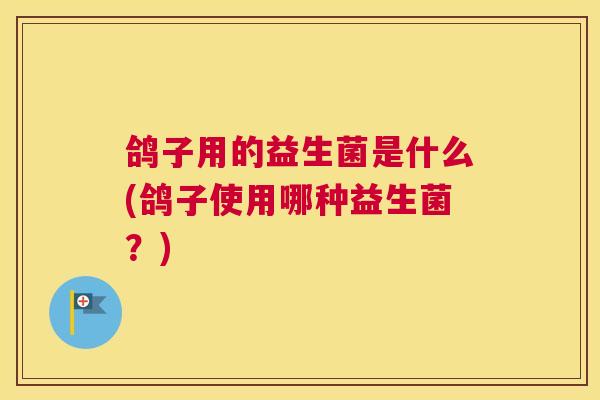 鸽子用的益生菌是什么(鸽子使用哪种益生菌？)