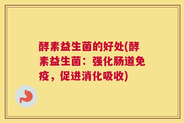 酵素益生菌的好处(酵素益生菌：强化肠道免疫，促进消化吸收)