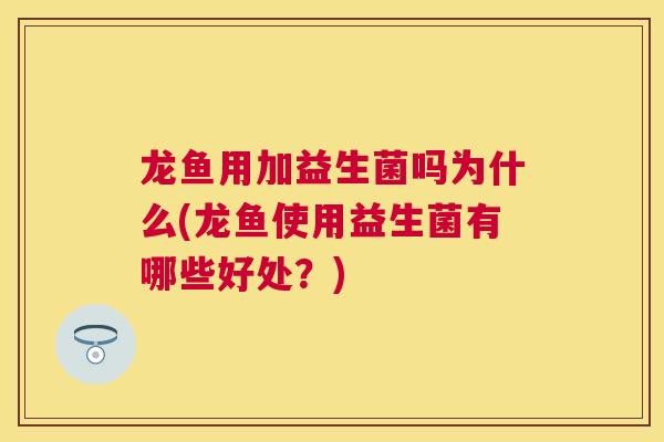 龙鱼用加益生菌吗为什么(龙鱼使用益生菌有哪些好处？)