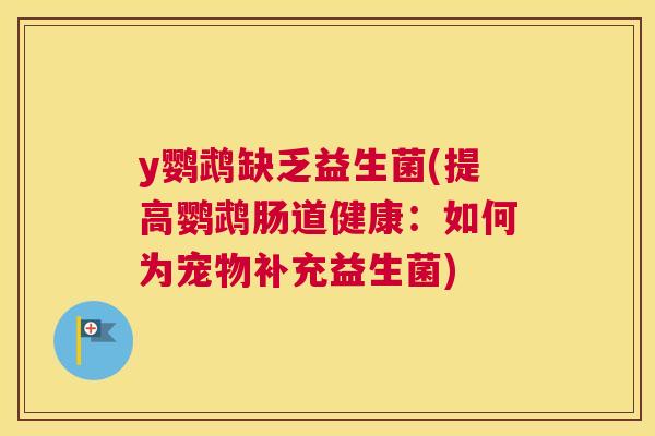y鹦鹉缺乏益生菌(提高鹦鹉肠道健康：如何为宠物补充益生菌)