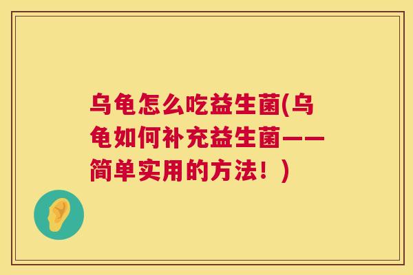 乌龟怎么吃益生菌(乌龟如何补充益生菌——简单实用的方法！)