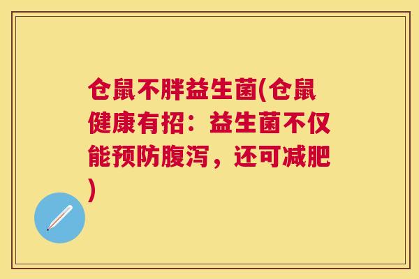 仓鼠不胖益生菌(仓鼠健康有招：益生菌不仅能预防腹泻，还可减肥)
