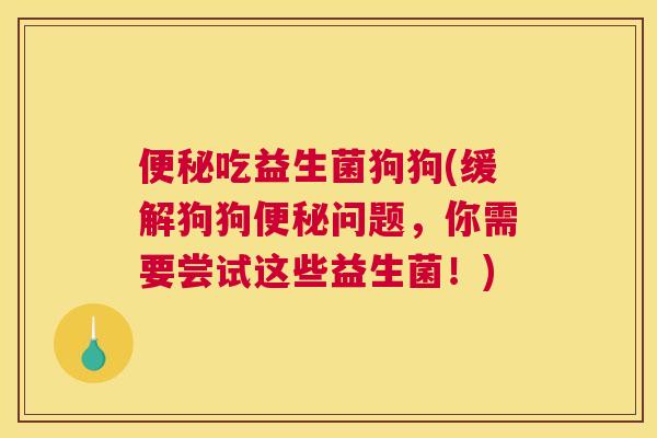 便秘吃益生菌狗狗(缓解狗狗便秘问题，你需要尝试这些益生菌！)