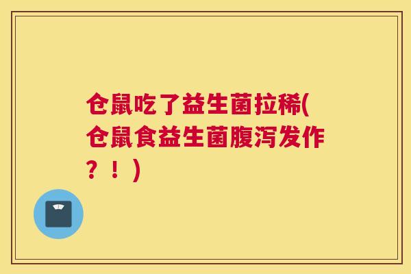 仓鼠吃了益生菌拉稀(仓鼠食益生菌腹泻发作？！)