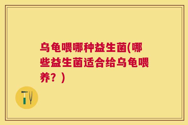 乌龟喂哪种益生菌(哪些益生菌适合给乌龟喂养？)