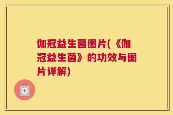 伽冠益生菌图片(《伽冠益生菌》的功效与图片详解)
