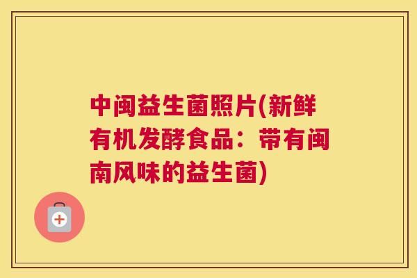 中闽益生菌照片(新鲜有机发酵食品：带有闽南风味的益生菌)